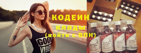 прущие грибы Гусь-Хрустальный