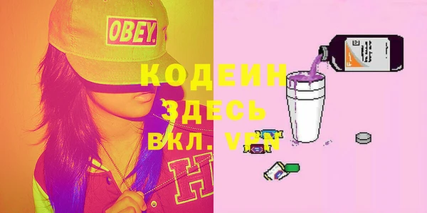 прущие грибы Гусь-Хрустальный
