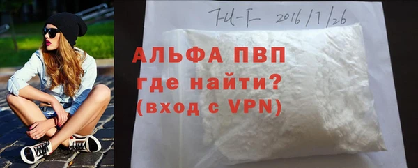 прущие грибы Гусь-Хрустальный