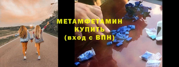 индика Горняк