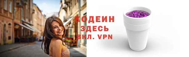 индика Горняк