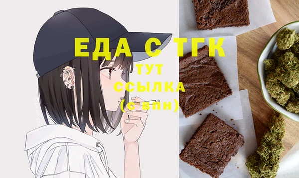 индика Горняк